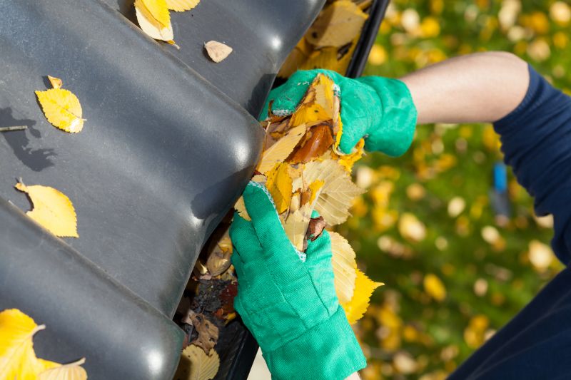 Clean Gutters with Covers